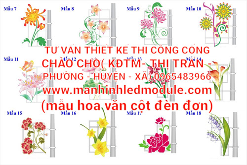  ảnh 1
